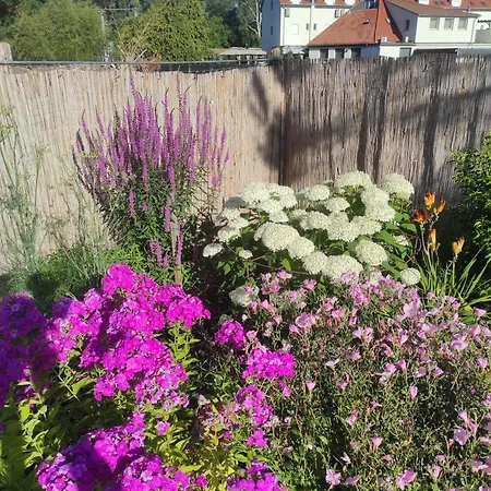 Golya Vendeghaz * Tiszaug