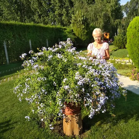 Apartment Golya Vendeghaz Tiszaug
